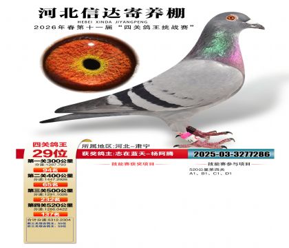 �ӱ��Ŵ��Ĺظ���29��