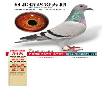 �ӱ��Ŵ��Ĺظ���31��