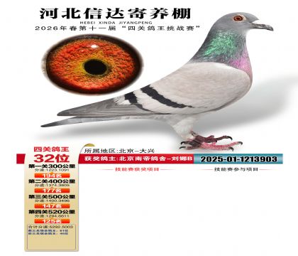 �ӱ��Ŵ��Ĺظ���32��