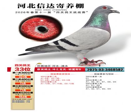�ӱ��Ŵ��Ĺظ���33��