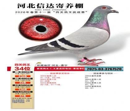 �ӱ��Ŵ��Ĺظ���34��