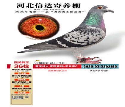 �ӱ��Ŵ��Ĺظ���36��