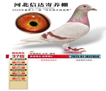 �ӱ��Ŵ��Ĺظ���37��