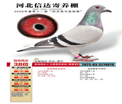 �ӱ��Ŵ��Ĺظ���38��