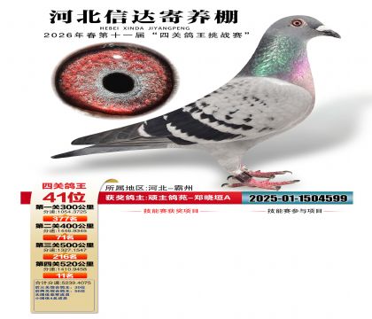 �ӱ��Ŵ��Ĺظ���41��