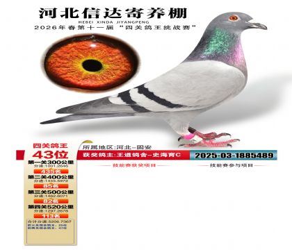 �ӱ��Ŵ��Ĺظ���43��
