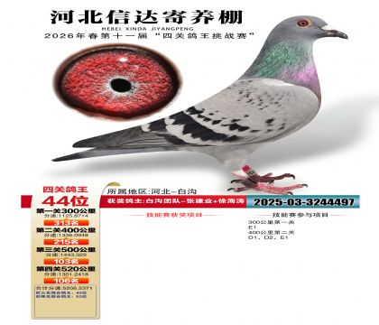 �ӱ��Ŵ��Ĺظ���44��
