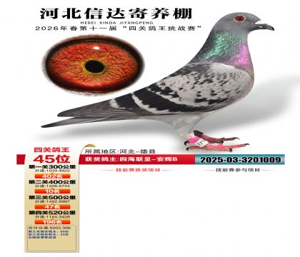 �ӱ��Ŵ��Ĺظ���45��