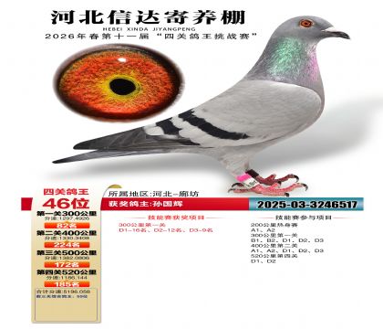 �ӱ��Ŵ��Ĺظ���46��