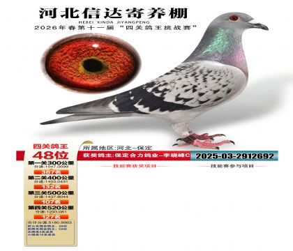 �ӱ��Ŵ��Ĺظ���48��