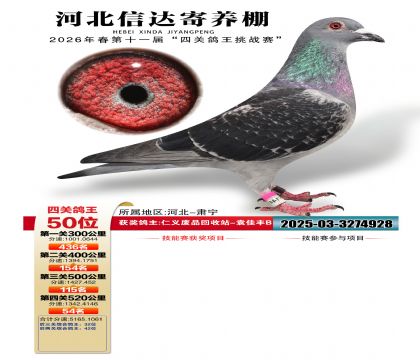 �ӱ��Ŵ��Ĺظ���50��