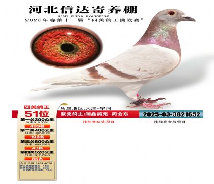 �ӱ��Ŵ��Ĺظ���51��