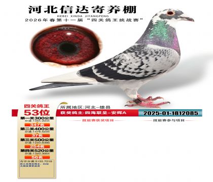 �ӱ��Ŵ��Ĺظ���53��