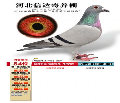 �ӱ��Ŵ��Ĺظ���54��