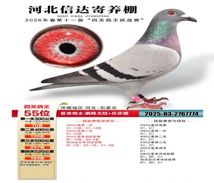 �ӱ��Ŵ��Ĺظ���55��