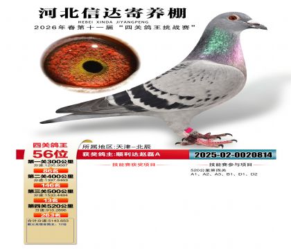 �ӱ��Ŵ��Ĺظ���56��