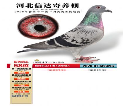 �ӱ��Ŵ��Ĺظ���58��