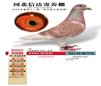 �ӱ��Ŵ��Ĺظ���59��
