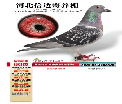 �ӱ��Ŵ��Ĺظ���60��