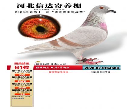 �ӱ��Ŵ��Ĺظ���61��