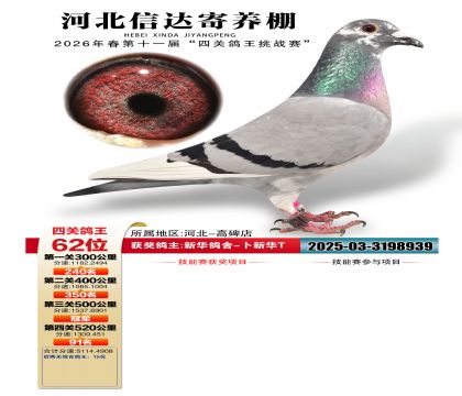 �ӱ��Ŵ��Ĺظ���62��