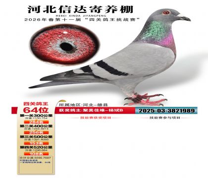 �ӱ��Ŵ��Ĺظ���64��