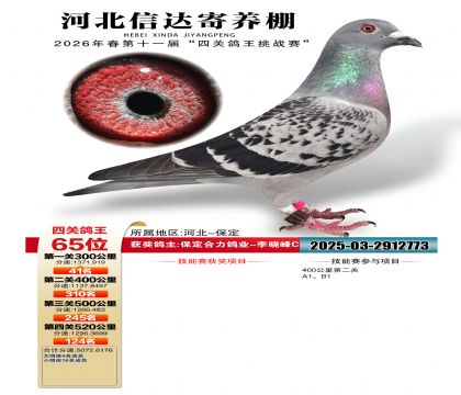 �ӱ��Ŵ��Ĺظ���65��