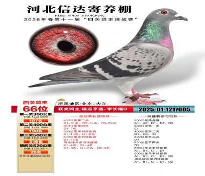 �ӱ��Ŵ��Ĺظ���66��