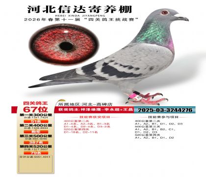�ӱ��Ŵ��Ĺظ���67��