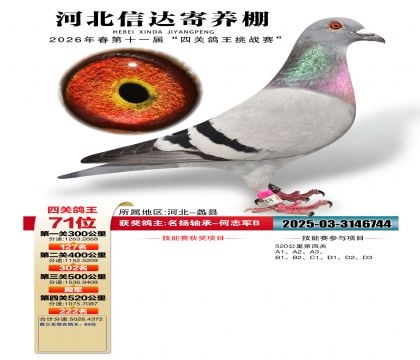 �ӱ��Ŵ��Ĺظ���71��