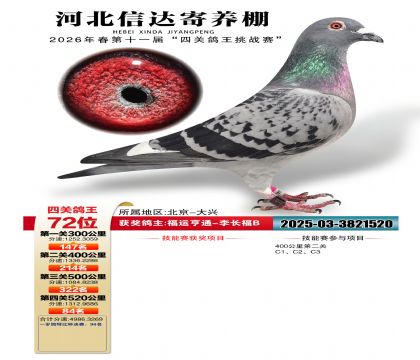 �ӱ��Ŵ��Ĺظ���72��