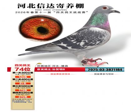�ӱ��Ŵ��Ĺظ���74��