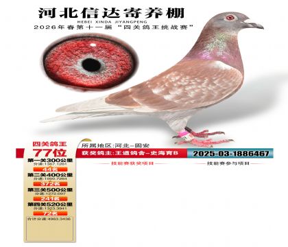 �ӱ��Ŵ��Ĺظ���77��