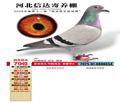 �ӱ��Ŵ��Ĺظ���79��