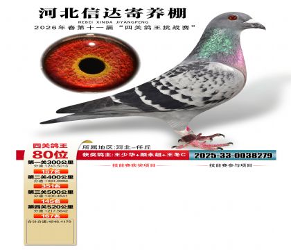 �ӱ��Ŵ��Ĺظ���80��