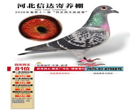 �ӱ��Ŵ��Ĺظ���81��