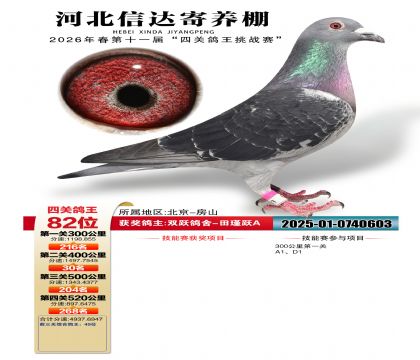�ӱ��Ŵ��Ĺظ���82��