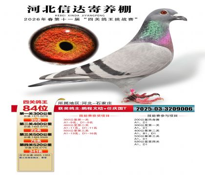 �ӱ��Ŵ��Ĺظ���84��