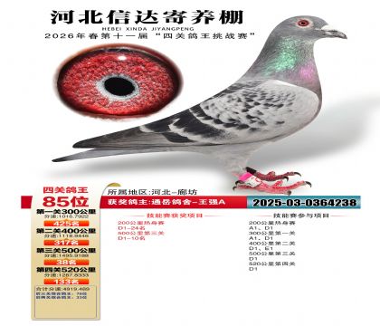 �ӱ��Ŵ��Ĺظ���85��