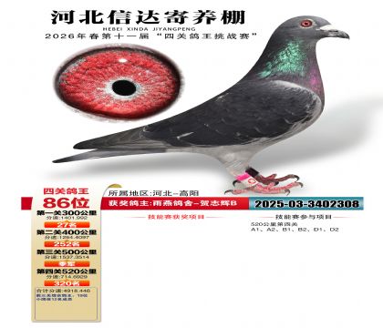 �ӱ��Ŵ��Ĺظ���86��