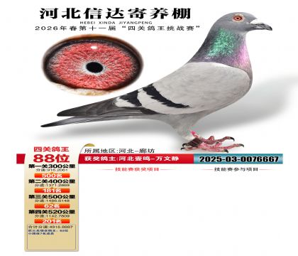�ӱ��Ŵ��Ĺظ���88��