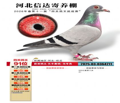 �ӱ��Ŵ��Ĺظ���91��