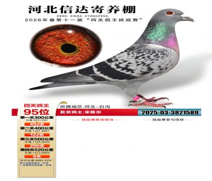 �ӱ��Ŵ��Ĺظ���95��