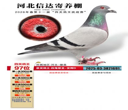 �ӱ��Ŵ��Ĺظ���97��