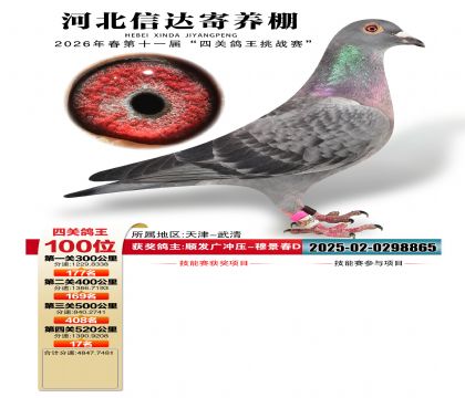 �ӱ��Ŵ��Ĺظ���100��