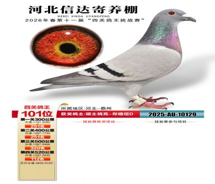 �ӱ��Ŵ��Ĺظ���101��