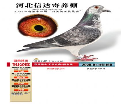 �ӱ��Ŵ��Ĺظ���102��