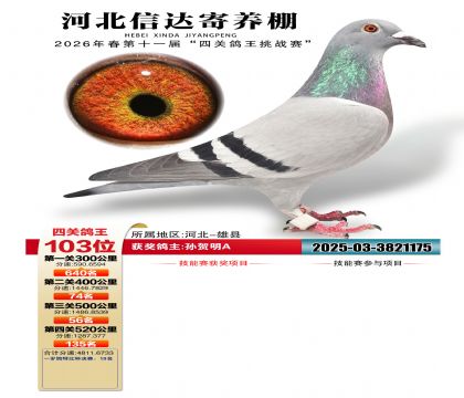 �ӱ��Ŵ��Ĺظ���103��