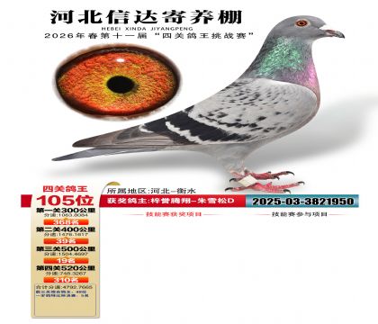 �ӱ��Ŵ��Ĺظ���105��
