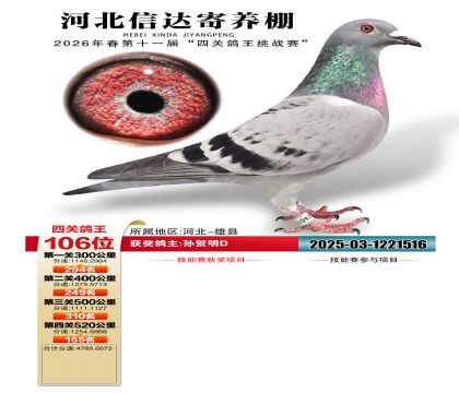 �ӱ��Ŵ��Ĺظ���106��